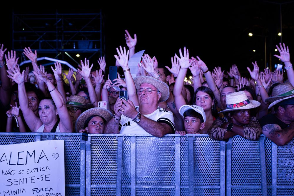 Excited concert crowd raising hands at outdoor music festival at night, with banner reading ALEMA visible.
