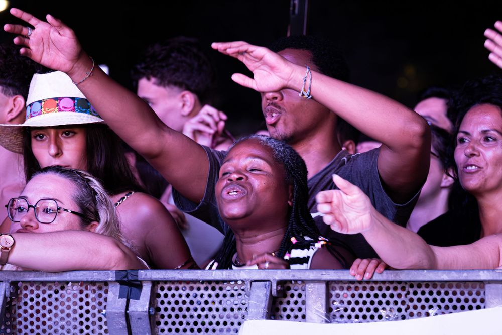 Excited concert crowd enjoying live music event at night, fans cheering and dancing at outdoor festival.