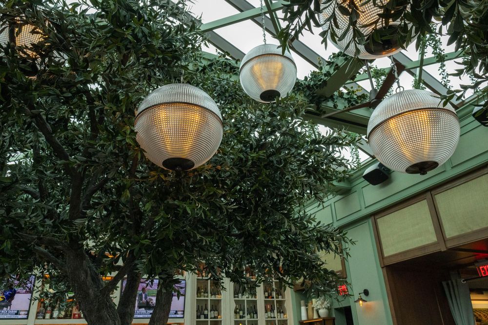 Globe pendant lights hang among lush green trees beneath a glass ceiling at an elegant outdoor venue.