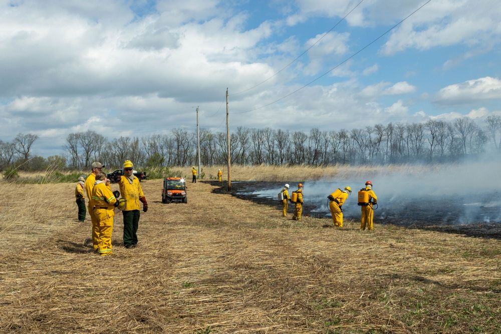 Group of firefighters in yellow gear monitoring a prescribed burn in an open field with smoke and trees.