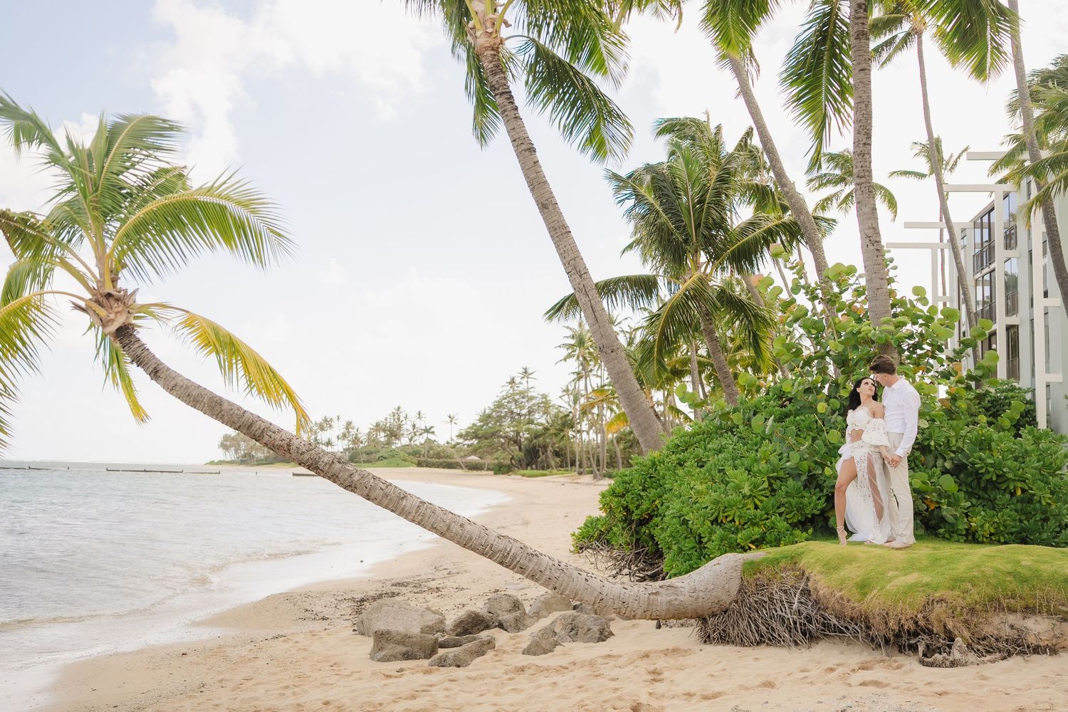 Bride and groom sitting together in a lush green field with a windswept tree and mountain backdrop.