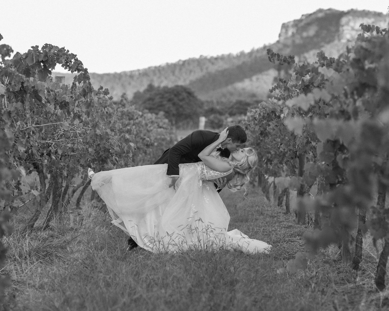 A romantic wedding photo of a couple dipping in an elegant pose among vineyard rows with mountains in background.