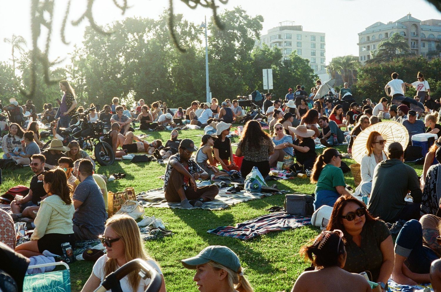 Event photography of Wine and Vinyl on 35mm film at Balboa Park in San Diego. Photo features groups of people sitting on picnic blankets