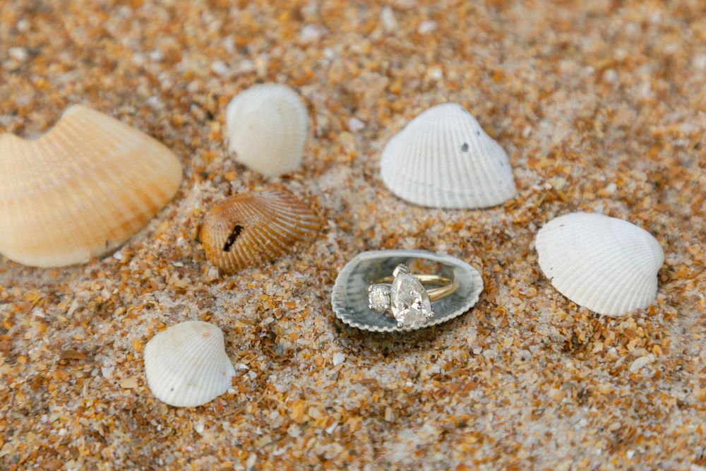 Diamond engagement ring displayed in seashell surrounded by white shells on sandy beach.