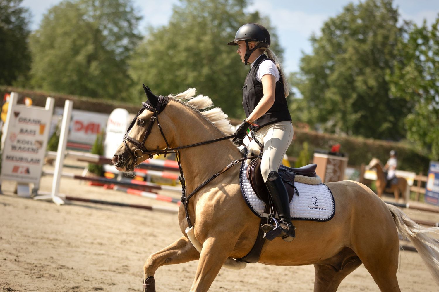 Paardenfotografie - Nadine Oostelbos Fotografie