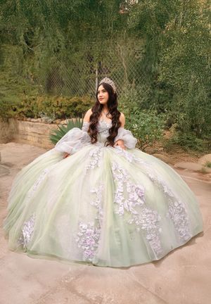A mint green and lavender quinceanera ball gown with floral appliques is showcased in a garden setting.