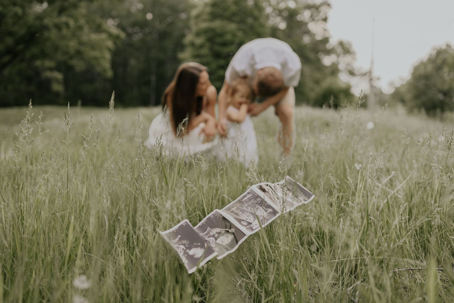 Dollar bill lying in tall summer grass while people play and interact in the blurred background.
