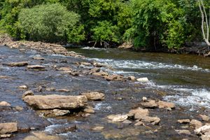 Scenic river view with rocky outcrops and rushing water surrounded by lush green trees in summertime.