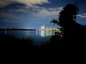 City skyline illuminated at night reflected in calm waterfront with silhouetted trees in foreground.