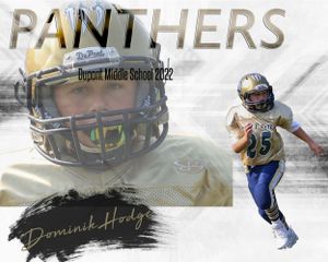 Football player composite featuring Panthers team branding with action shots in gold and blue uniform.