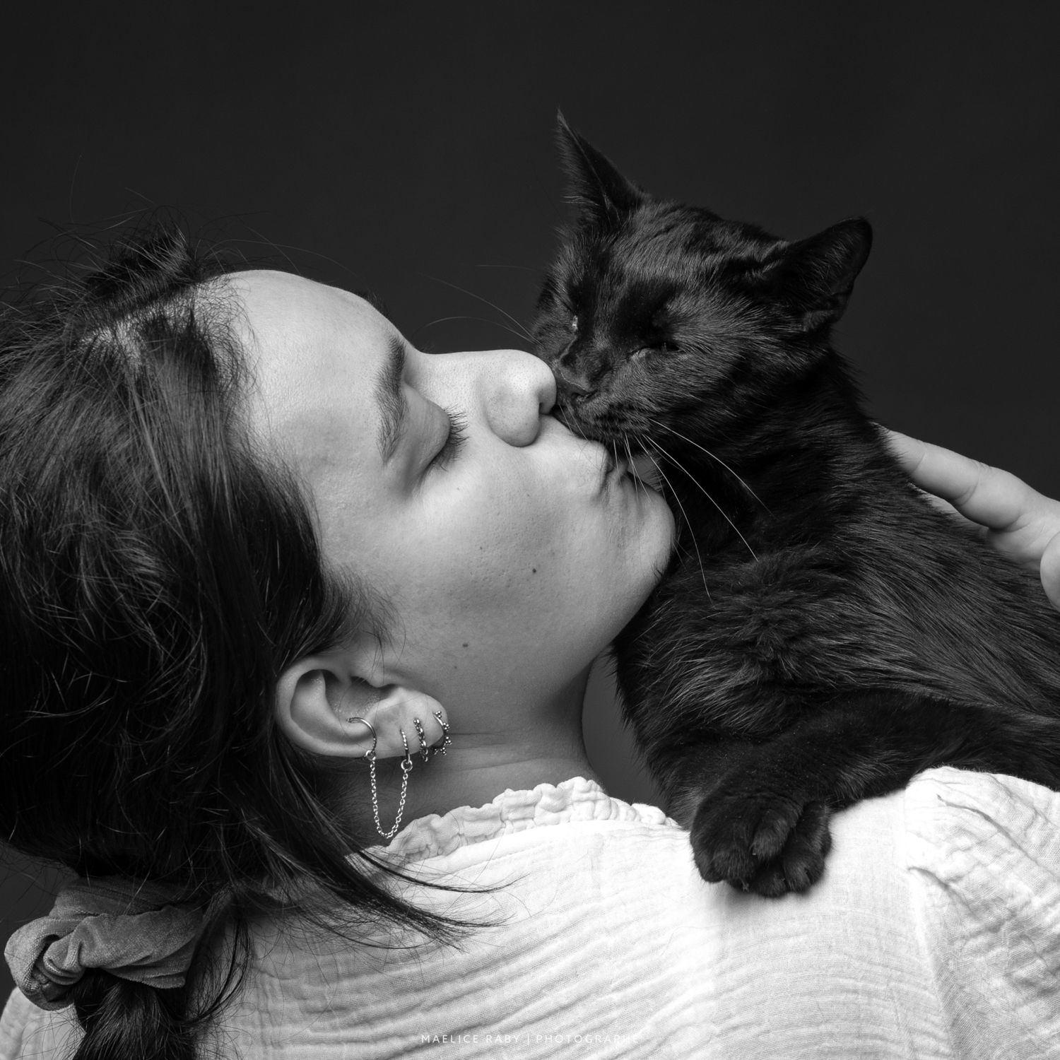 séance photo chat en studio bourg en bresse, Macon, Viriat. Photographe félin dans l'ain, jura, rhone,.