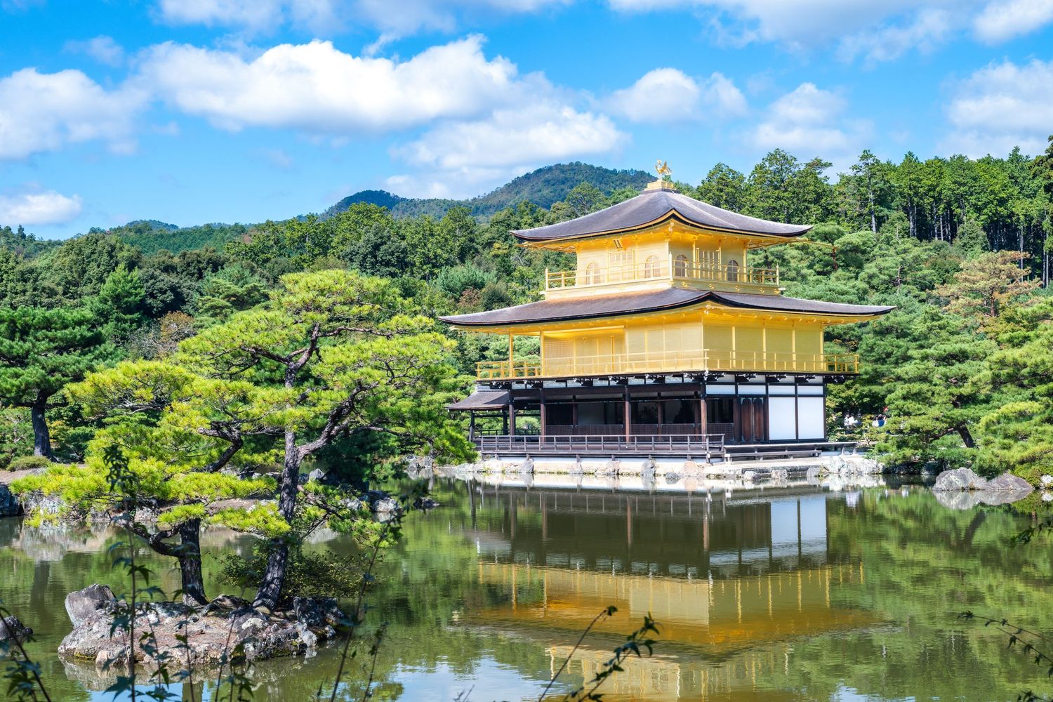 Golden Kinkakuji temple reflecting on a tranquil pond in Kyoto, Japan with lush green trees and blue sky.
