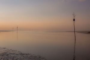 Tranquil sunset view over calm waters with silhouetted poles and markers reflecting in the misty golden light.