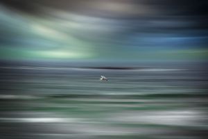 A seagull in flight over blurred turquoise waters with a moody dark sky creating an ethereal motion effect.