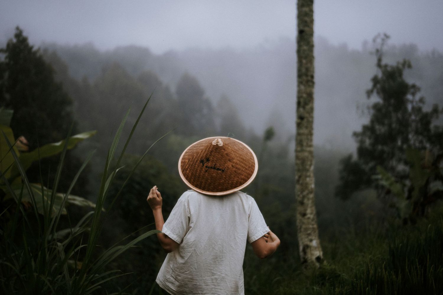 Someone wearing a traditional Asian conical hat stands in a misty forest landscape raising their hand toward the sky.