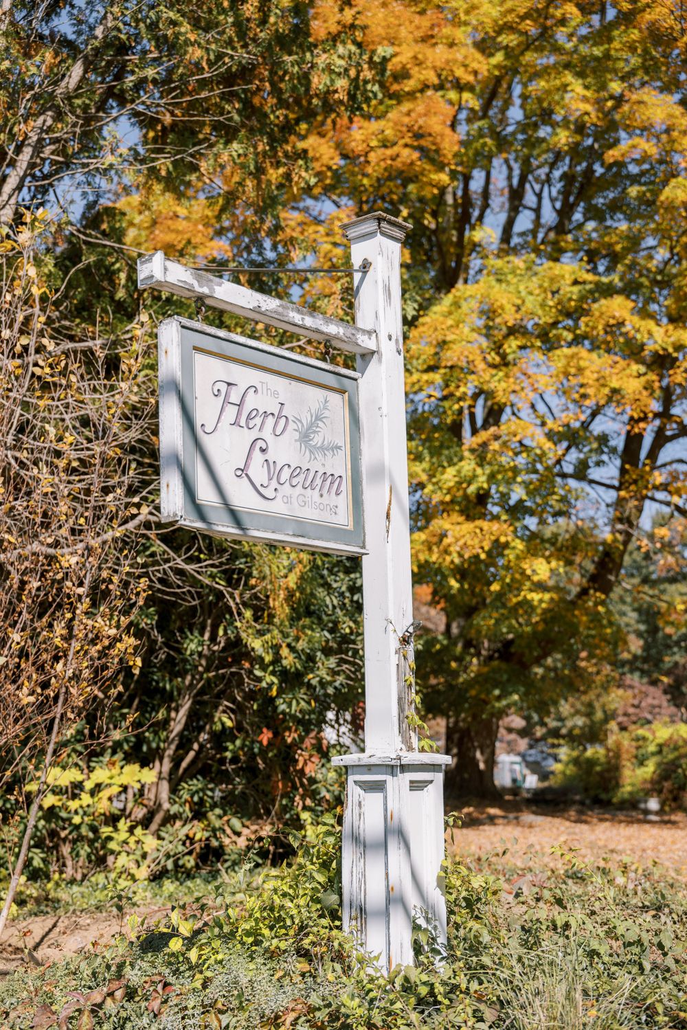 White decorative signs mounted on posts against a backdrop of autumn trees with golden leaves.