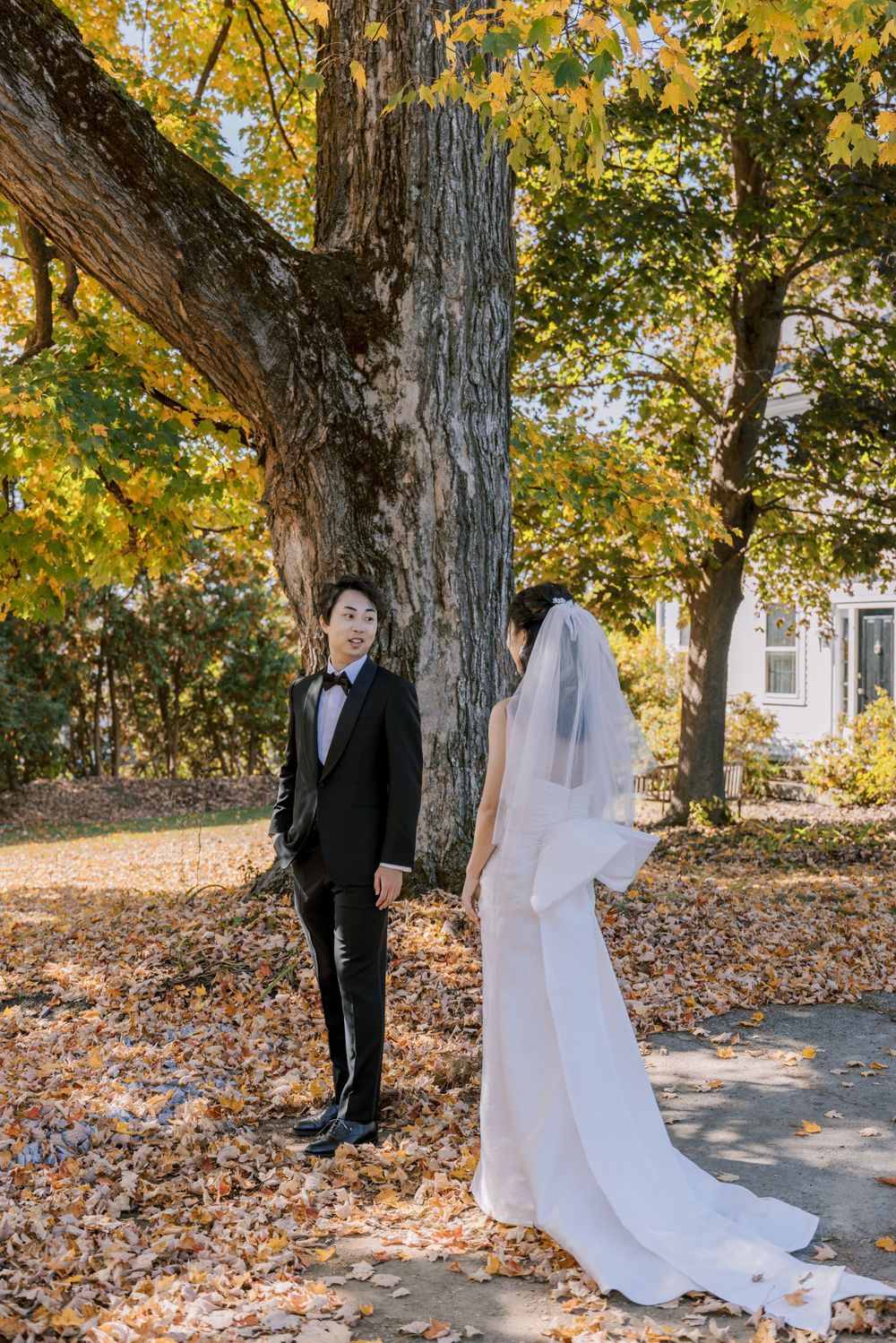 A wedding couple poses by a large tree trunk surrounded by golden autumn foliage.