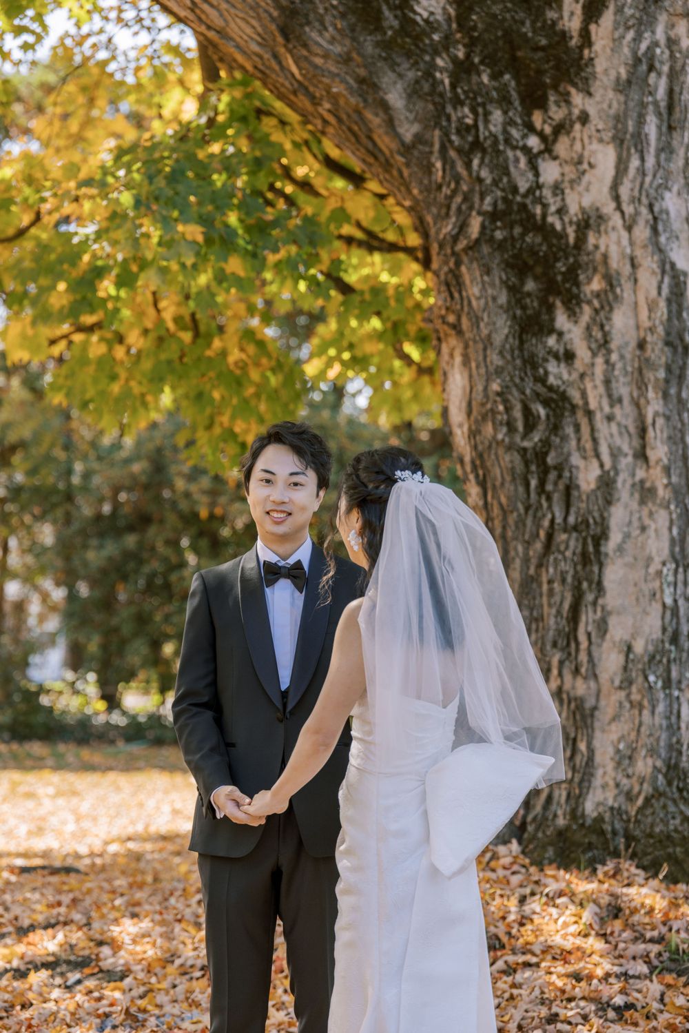 An intimate wedding portrait beneath a towering tree with golden autumn leaves.