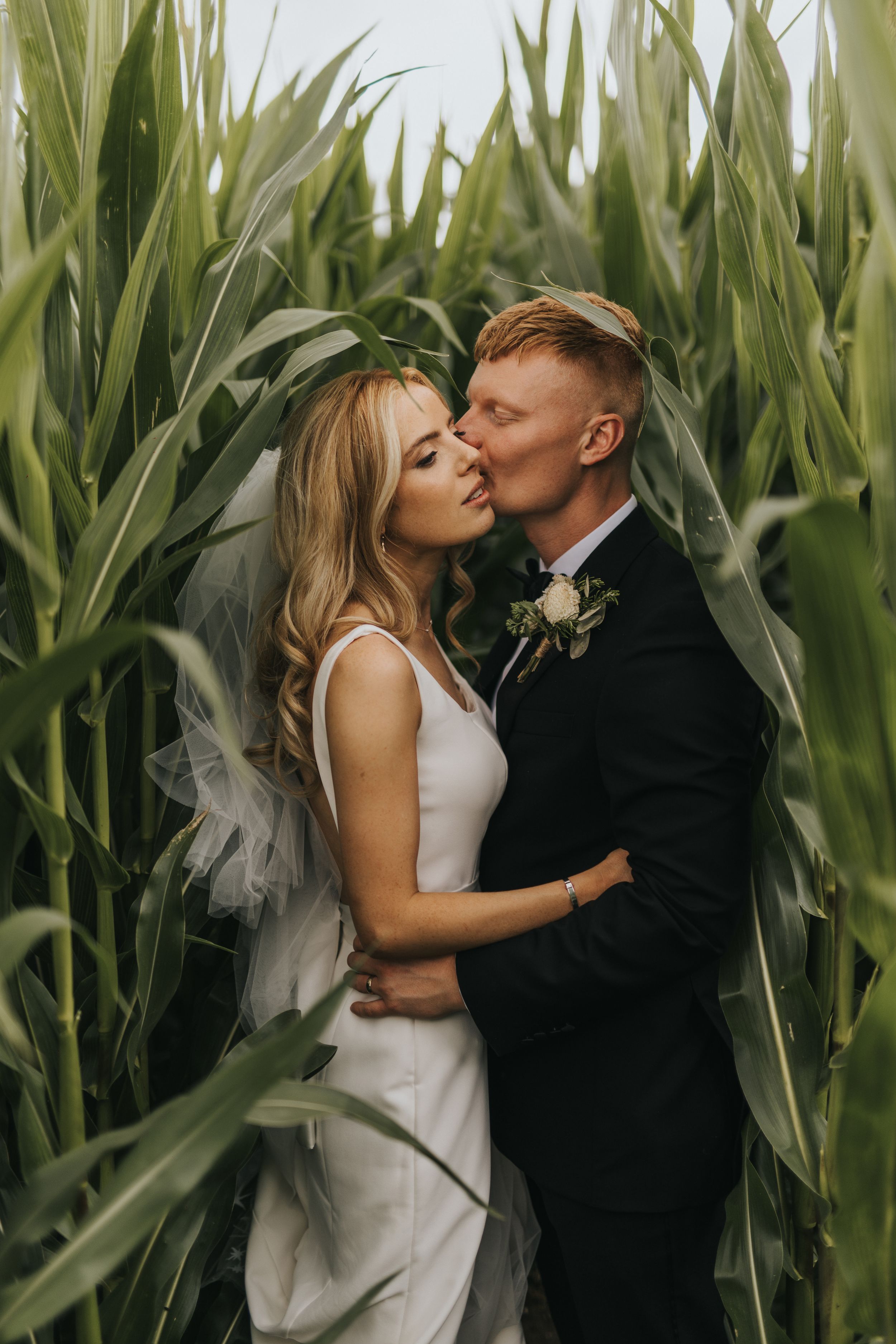 Intimate wedding portrait of couple kissing among tall corn stalks.