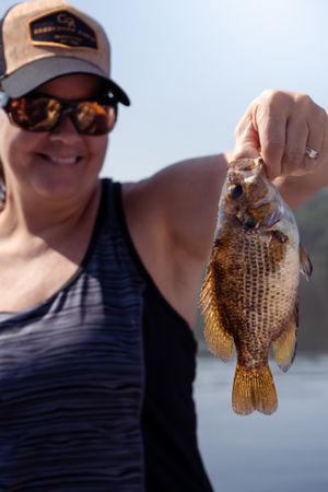 A fish catch being displayed against a bright blue sky background on a boat.