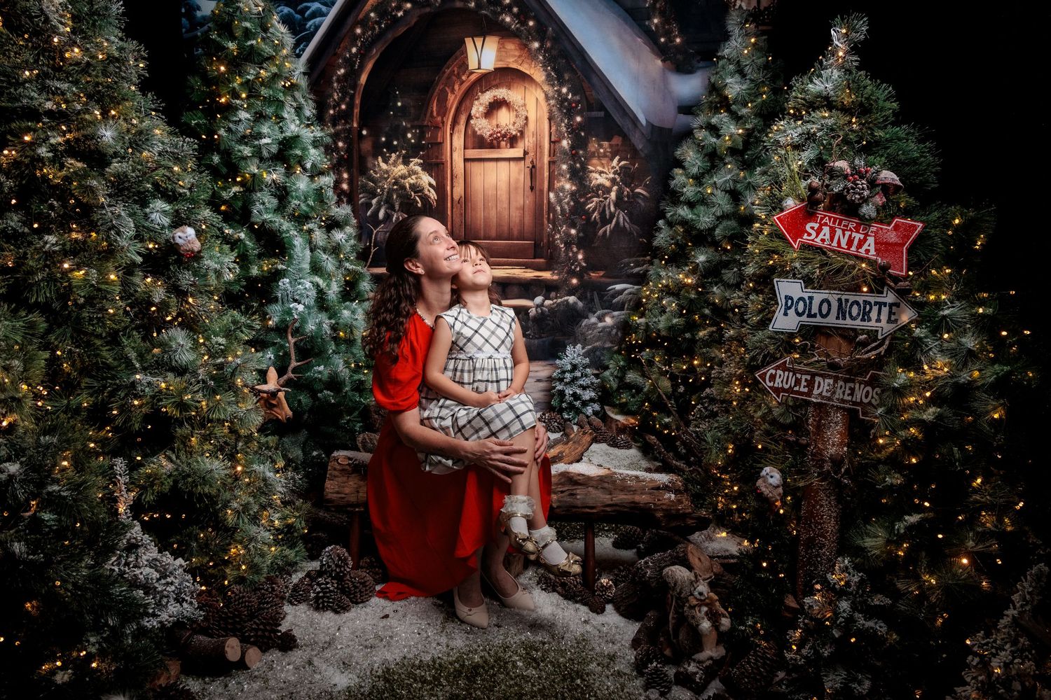 Magical Christmas scene with wooden door and festive decorations in enchanted forest setting.