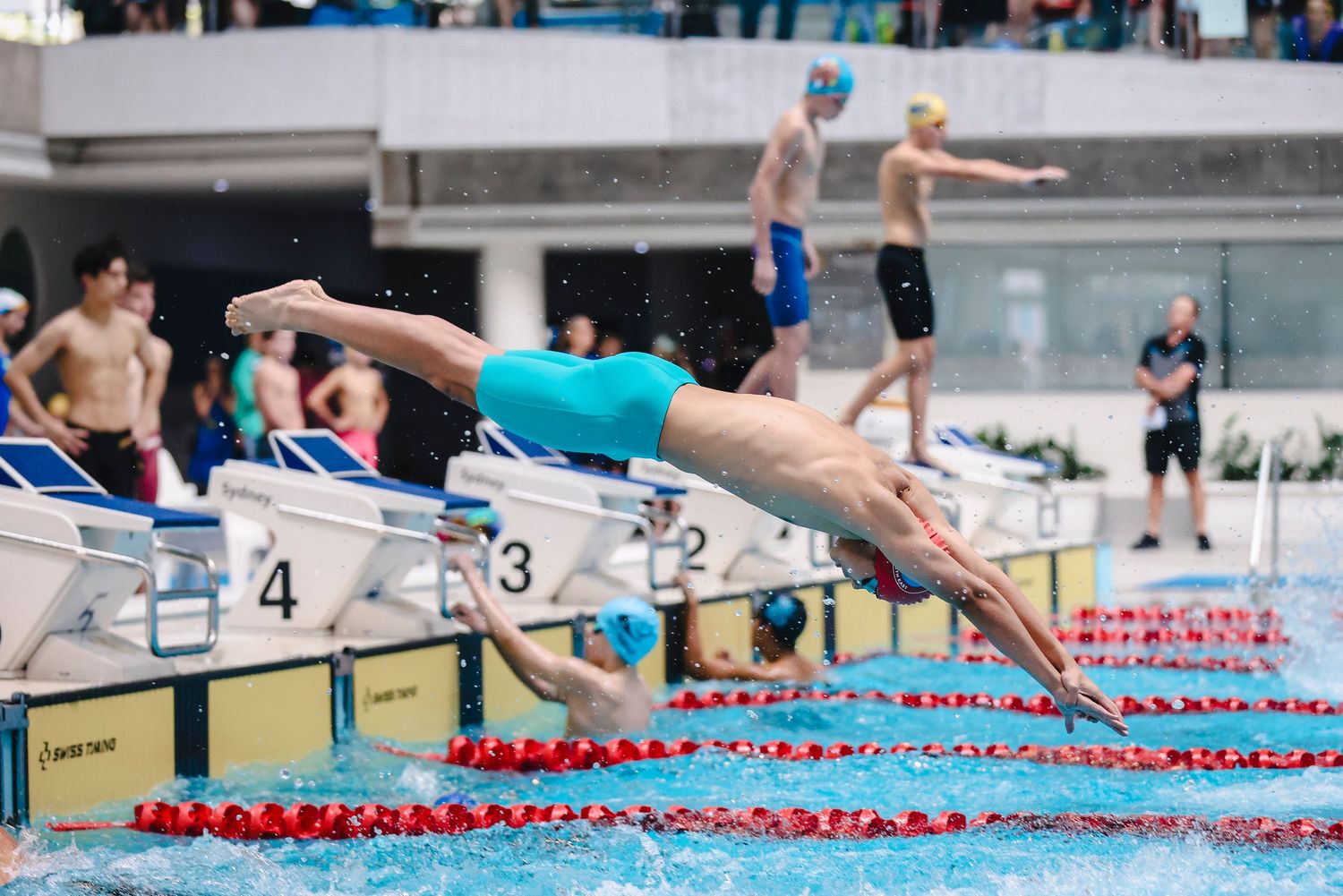 Swimmer dives off starting block during competitive swimming race.