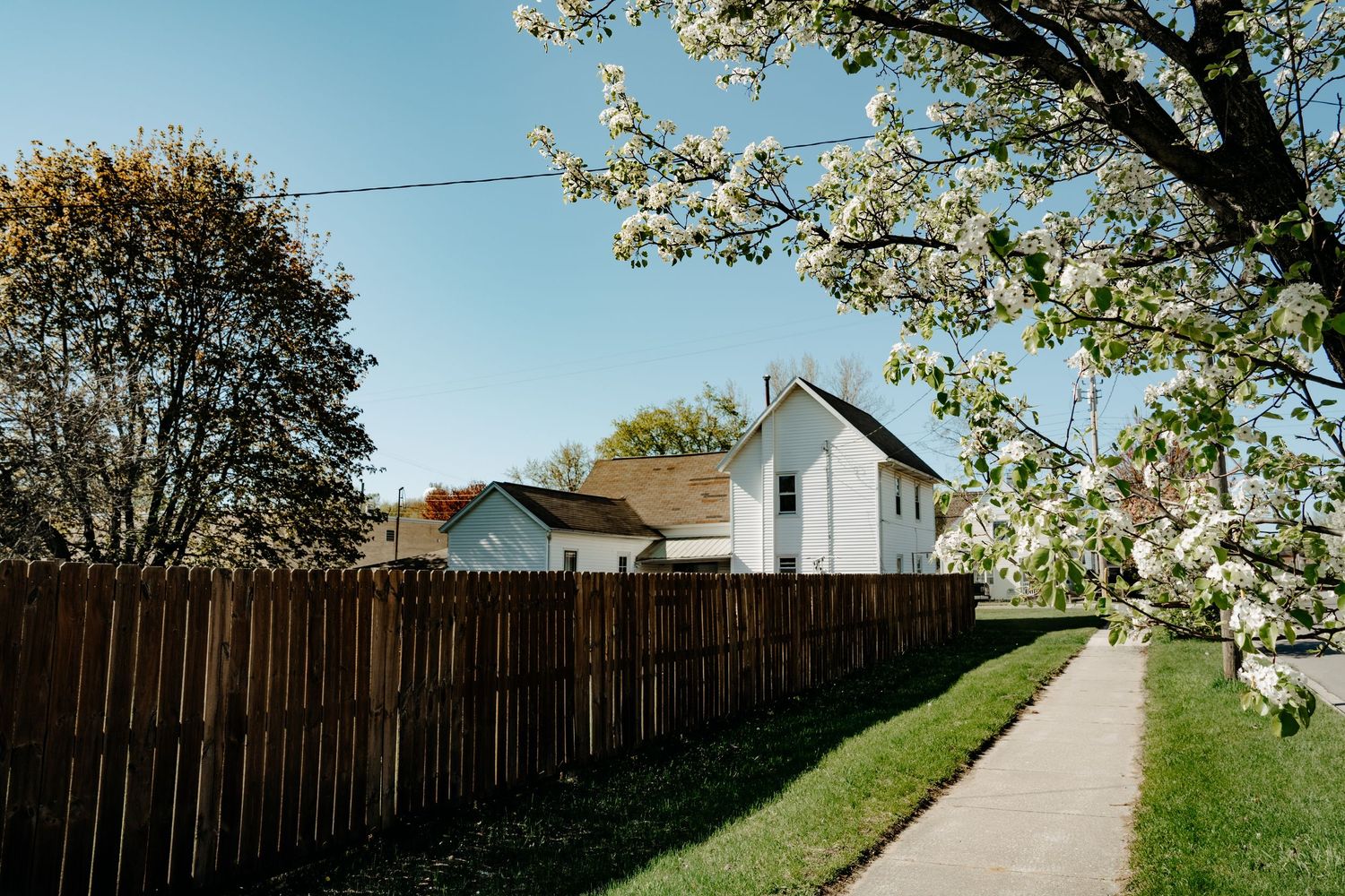 A white farmhouse sits behind a wooden fence on a spring day with blooming cherry blossoms along the sidewalk.