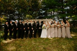 Wedding party group photo with bridesmaids and groomsmen on grassy hillside.