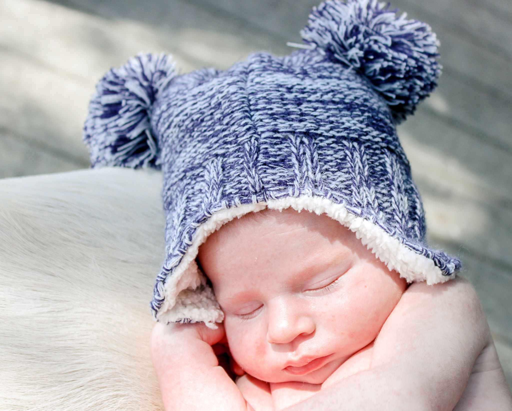 A sleeping newborn wearing a soft blue knit winter hat with pom poms rests peacefully on white fabric.