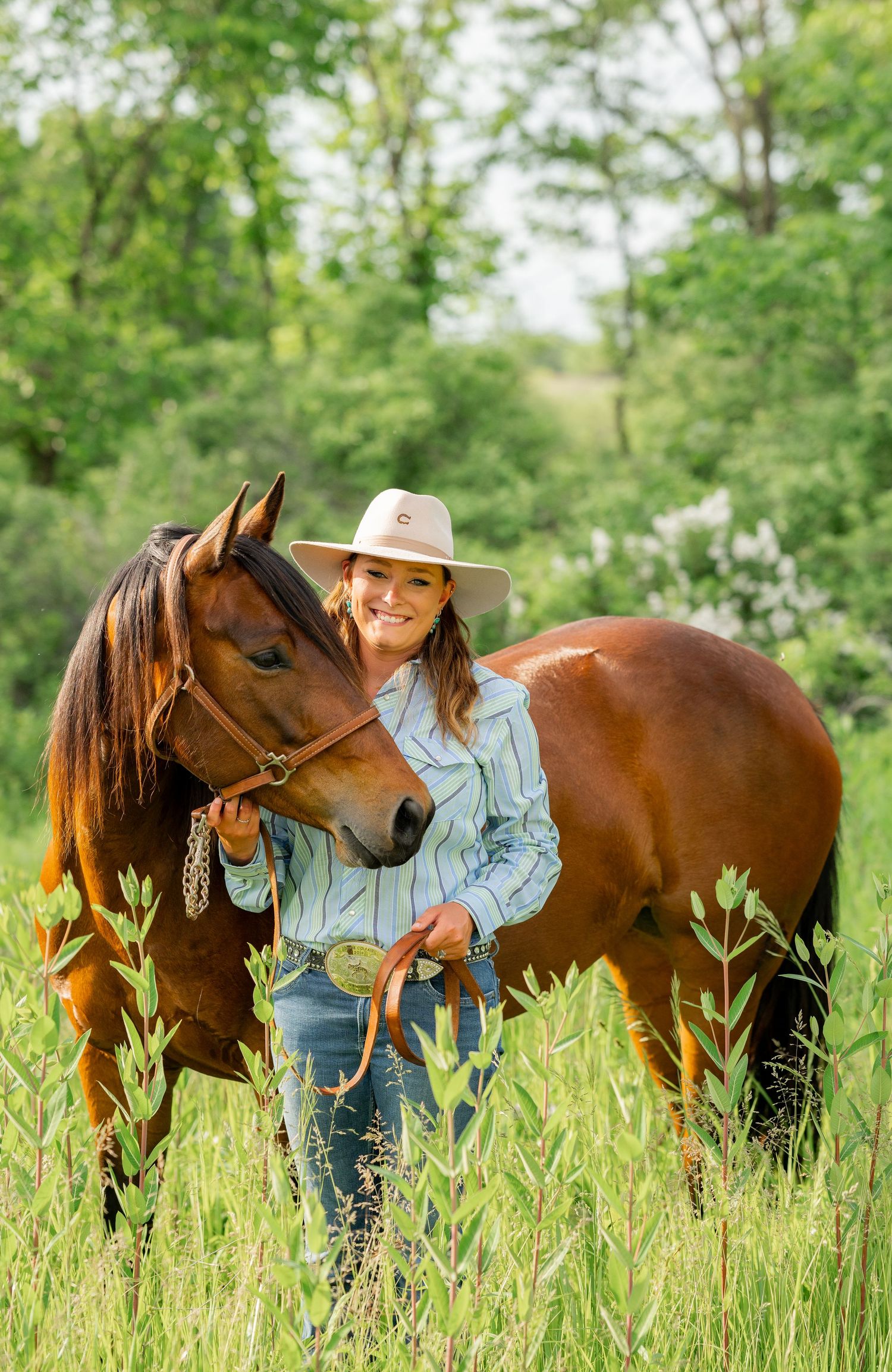 Beautiful brown horse and rider share a gentle moment in tall green grass on sunny day.