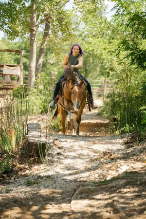 A rider guides their chestnut horse along a shaded woodland trail.