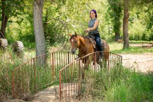 A rider guides their horse past tall grass and trees on a nature trail.