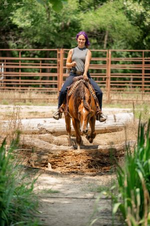 A rider guides their chestnut horse across a wooden bridge on a trail.