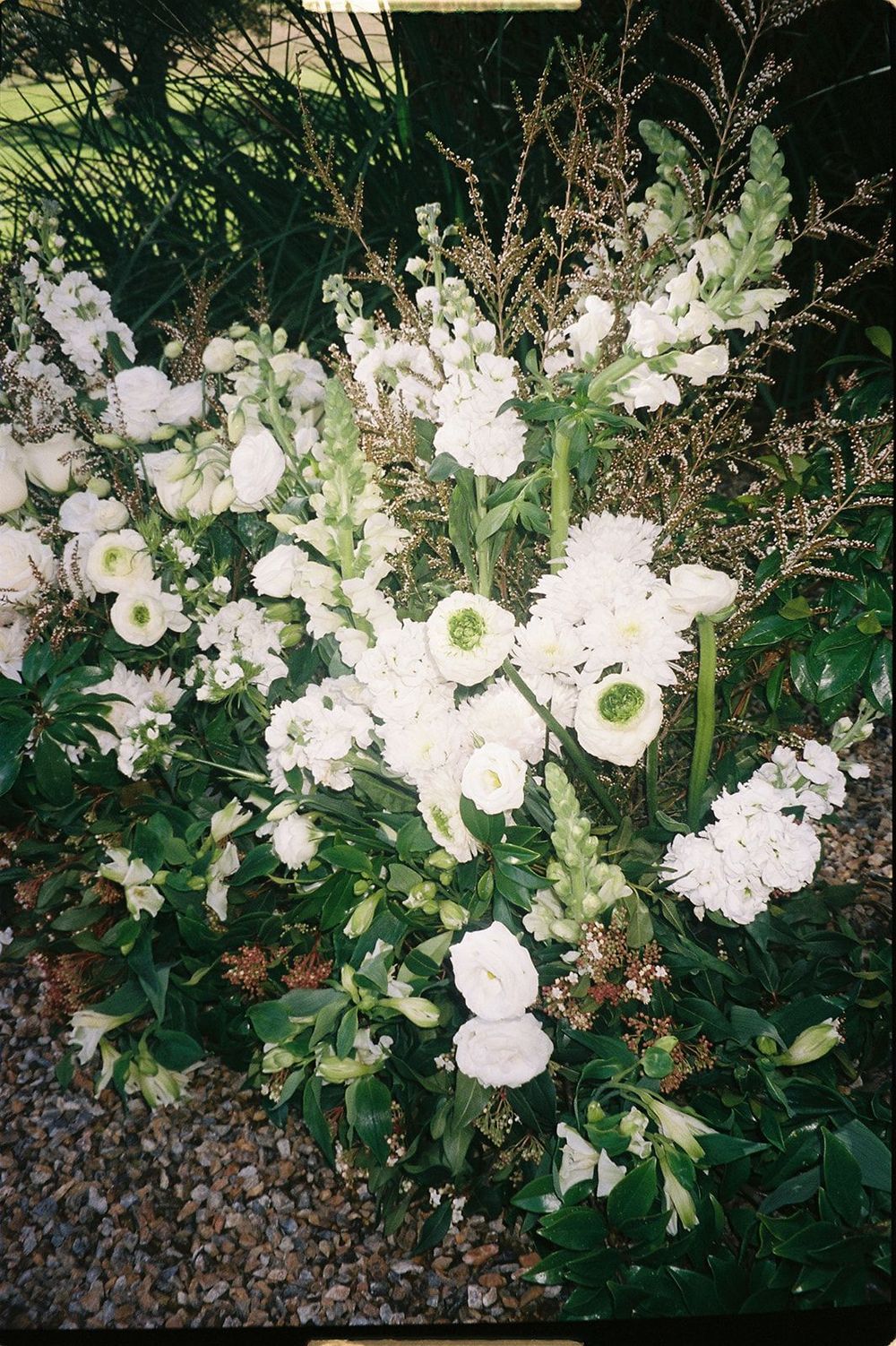 Lush white floral arrangement with roses, ranunculus, and greenery on gravel, perfect for elegant garden weddings.