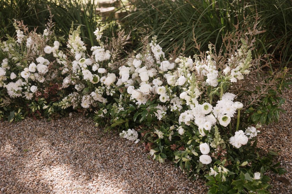 White flowers bloom along a gravel garden path creating a romantic natural border effect.