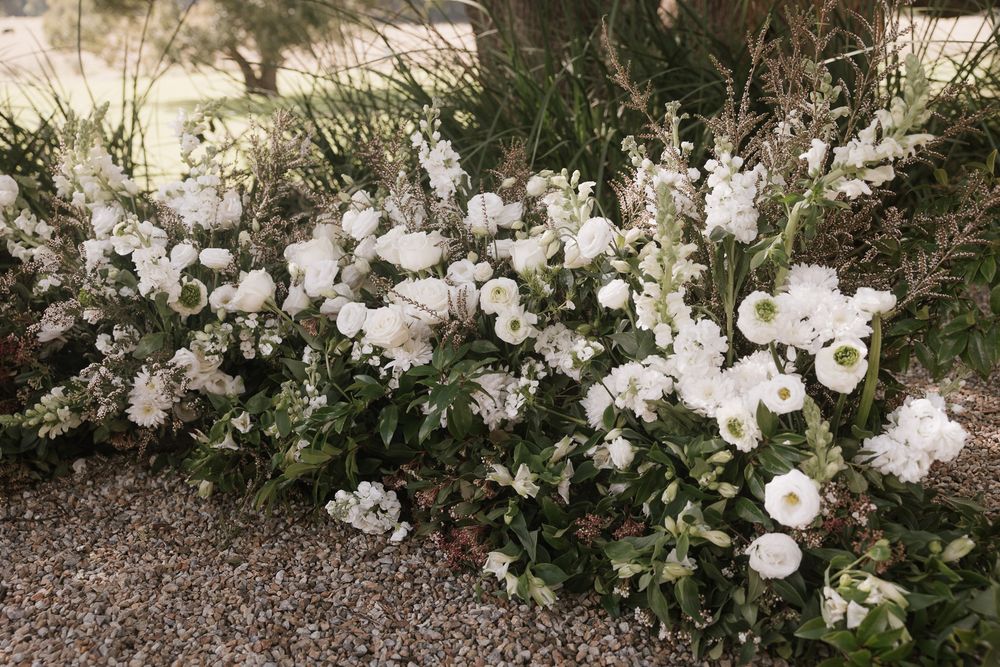 White lisianthus flowers bloom in a garden bed against a stone wall backdrop.