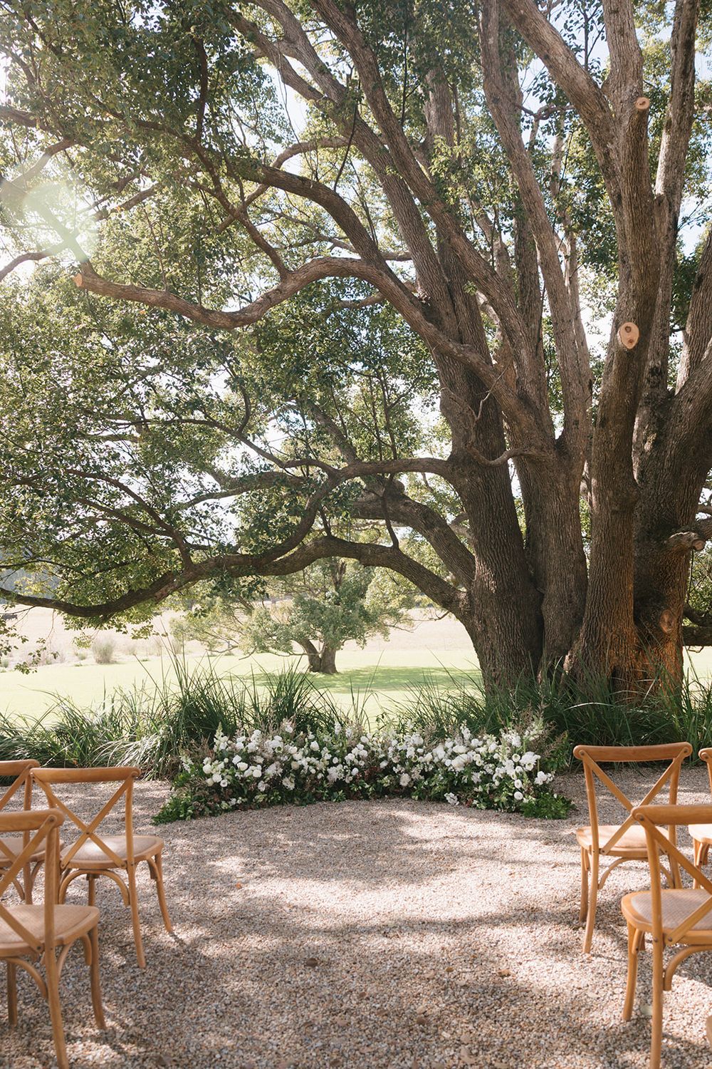 Rustic wooden chairs arranged for an outdoor ceremony under large shady trees with white flowering bushes in the background.