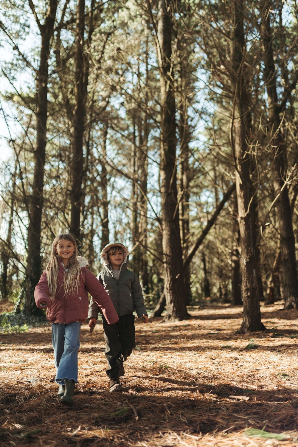 Two young children holding hands and walking through a sunlit forest with tall trees and pine needle covered ground.