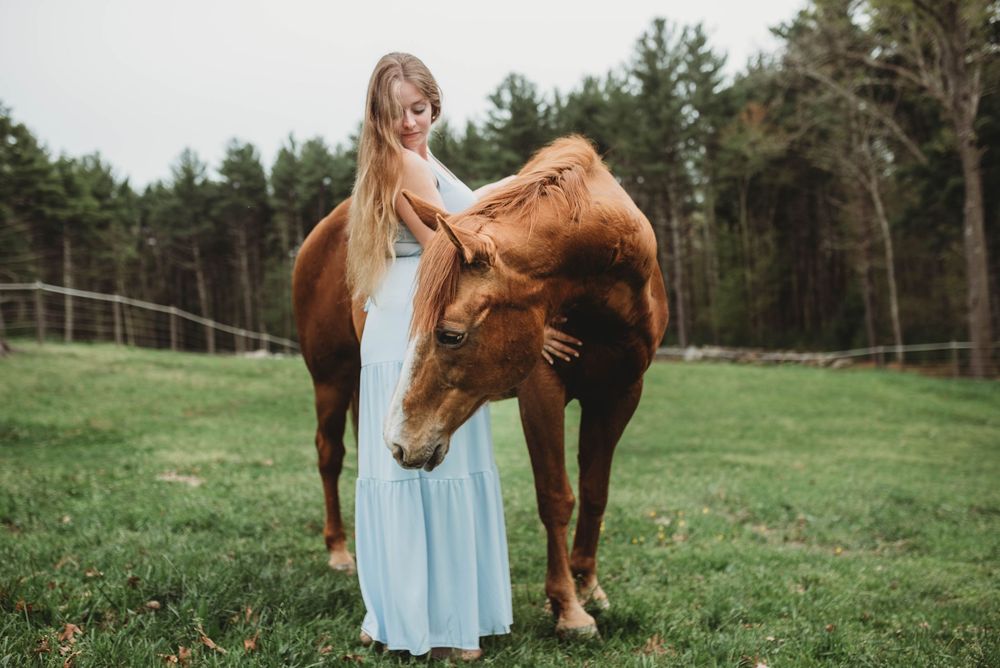 A chestnut horse nuzzles a person wearing a light blue dress in a lush green field with trees in the background.