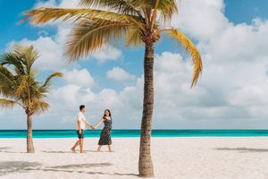 Palm trees line a pristine white sand beach with turquoise waters and fluffy white clouds in the Caribbean.