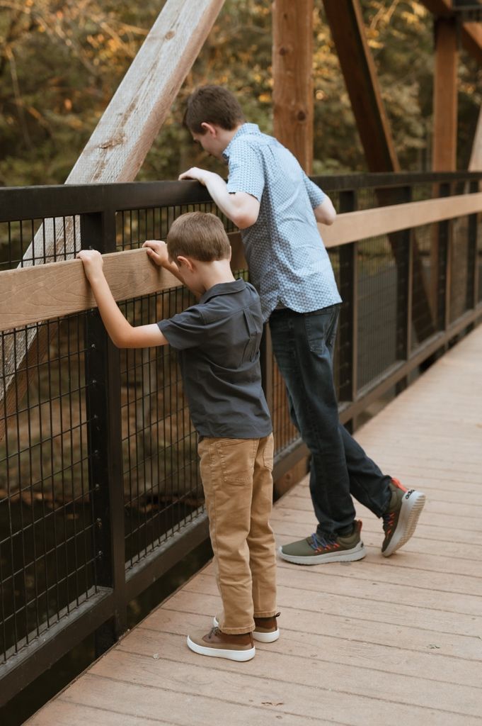 A series of photos showing children and adults looking through railings on a wooden bridge walkway in a forest setting.