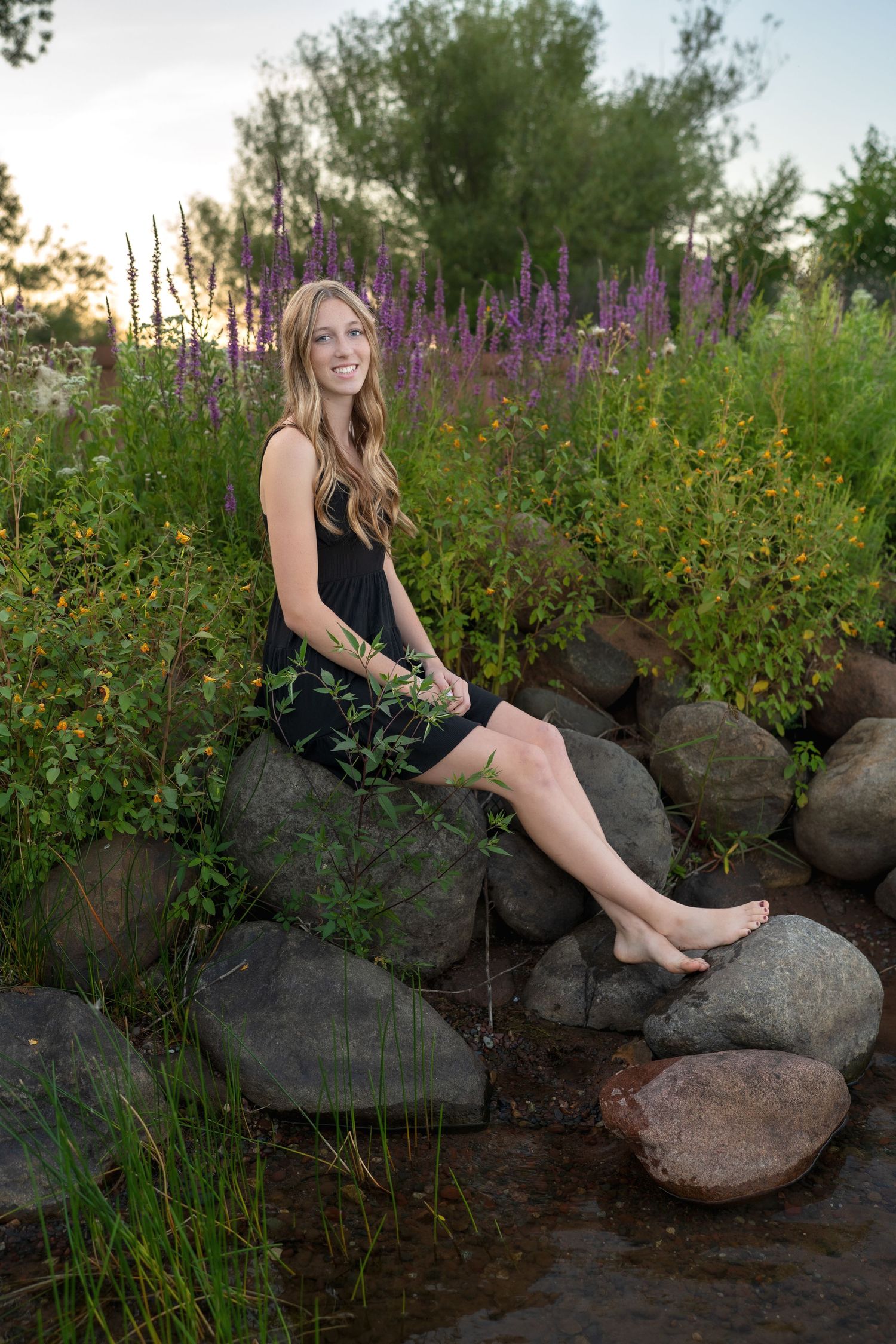 A series of outdoor photos by a pond with purple wildflowers and large rocks at sunset.