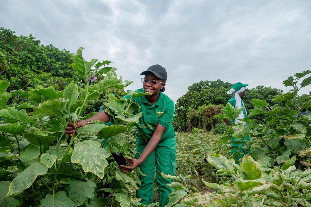 Ajisakho — Portrait