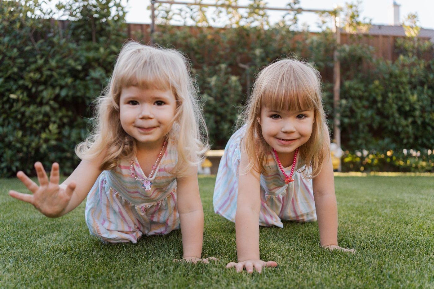 Children crawling on grass in a pink dress, captured from lower angel in their backyard in Rouse Hill during a family photoshoot