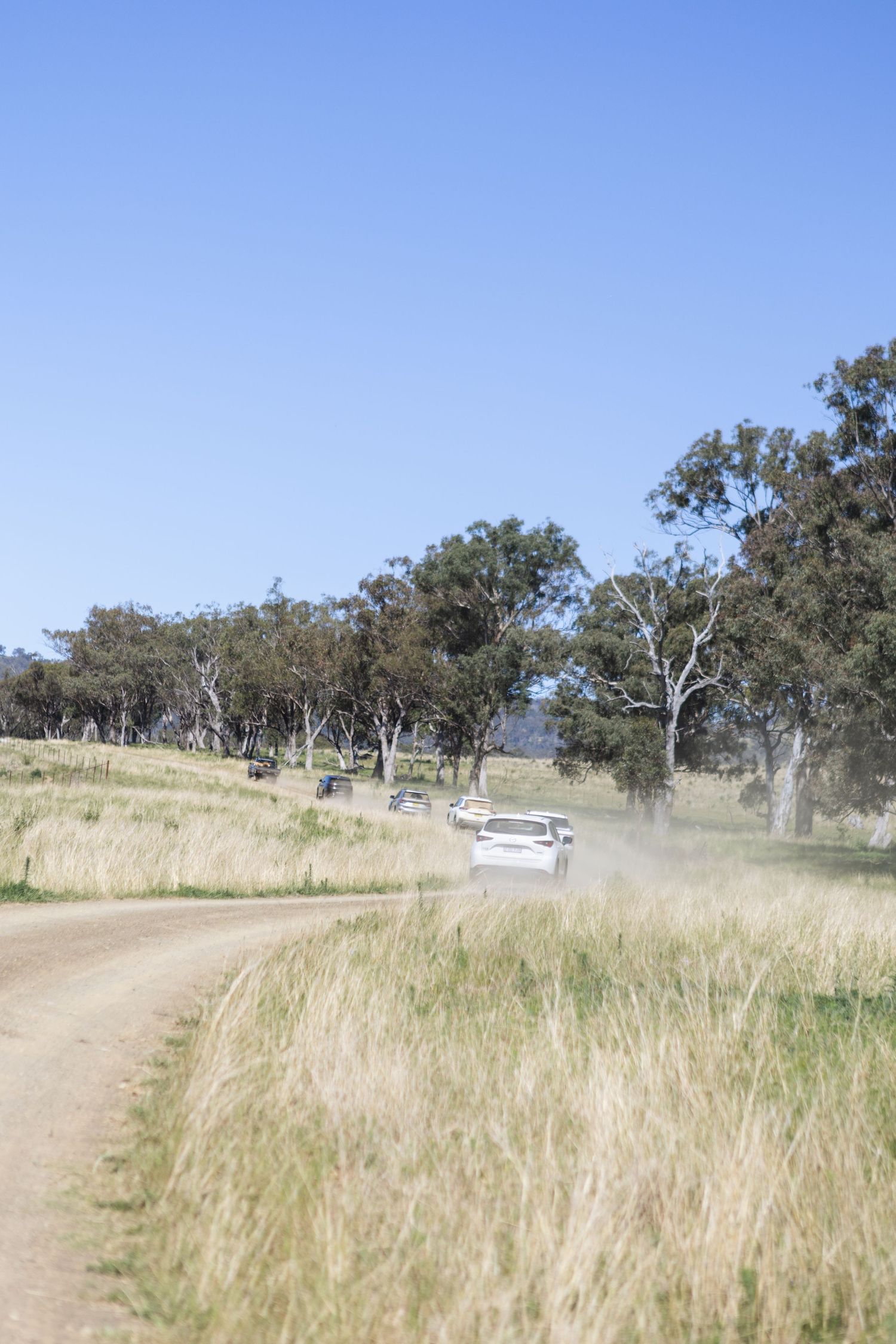 Cars driving down dirt road to Scone NSW Country Wedding