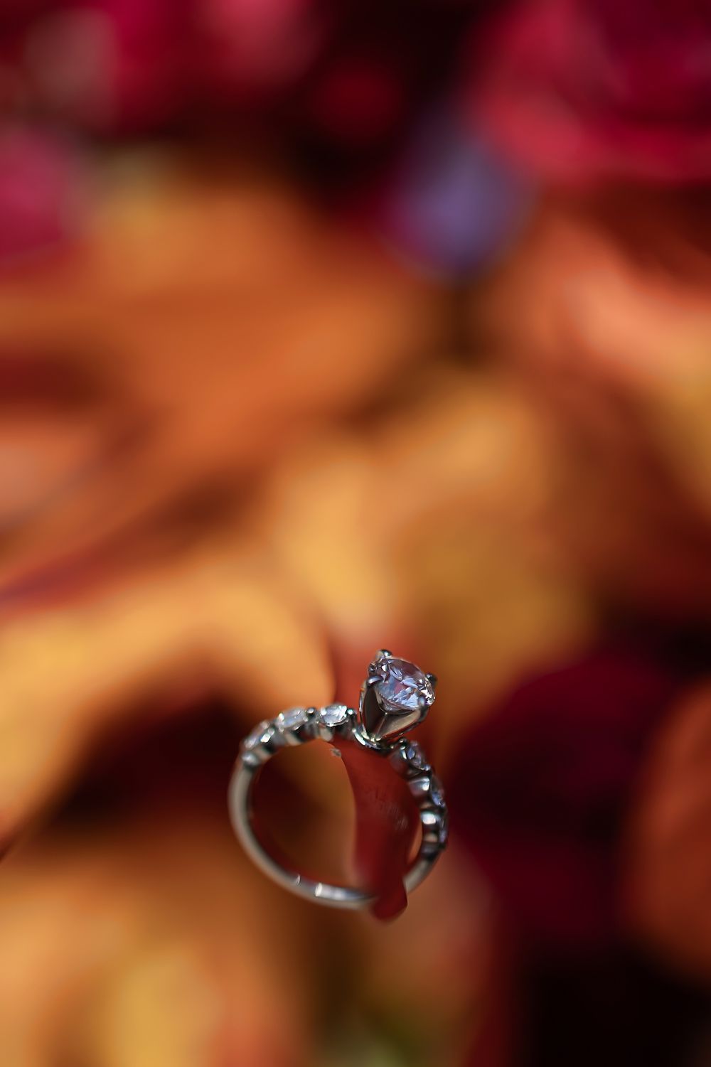 Macro photography sequence showing a silver engagement ring with a diamond solitaire against a blurred autumn-colored background.