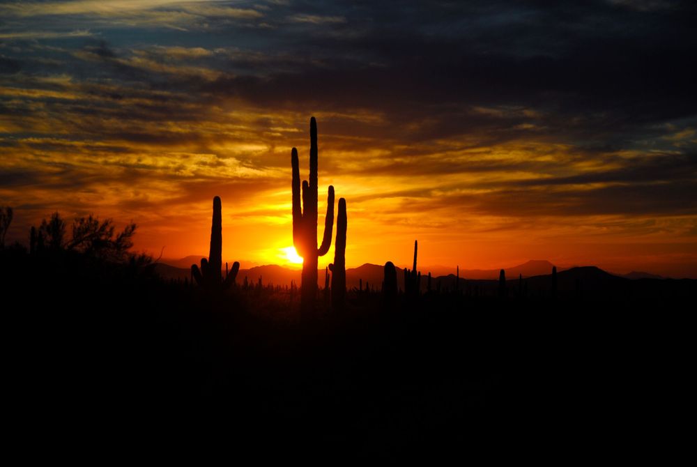 Arizona Landscape Prints Available @PhotosbyJennRoberts