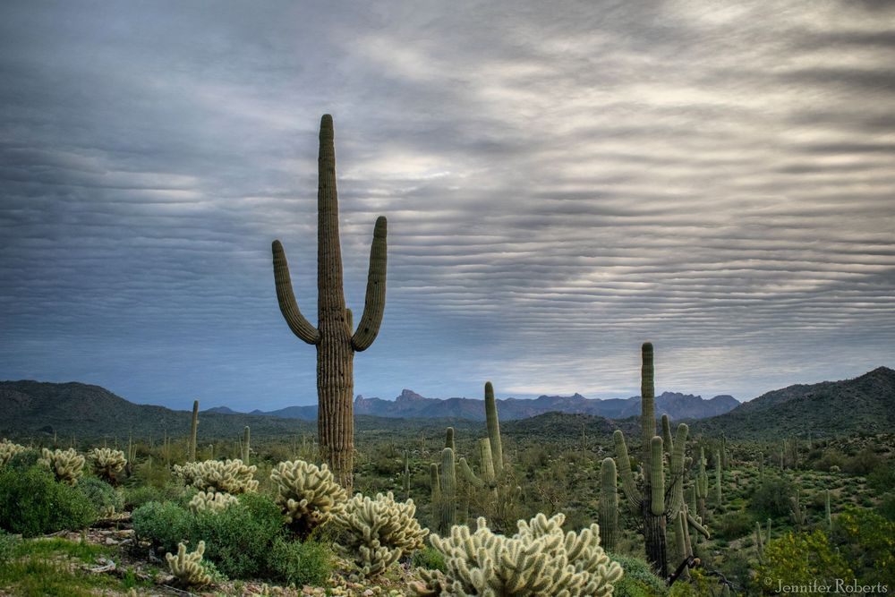 Arizona Landscape Prints Available @PhotosbyJennRoberts