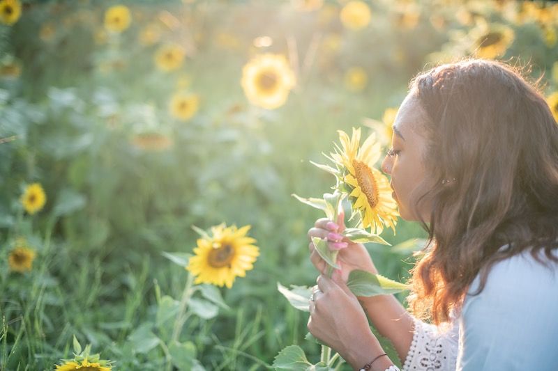 A person holds a bright yellow sunflower against a soft green background in a dreamy summer garden setting.