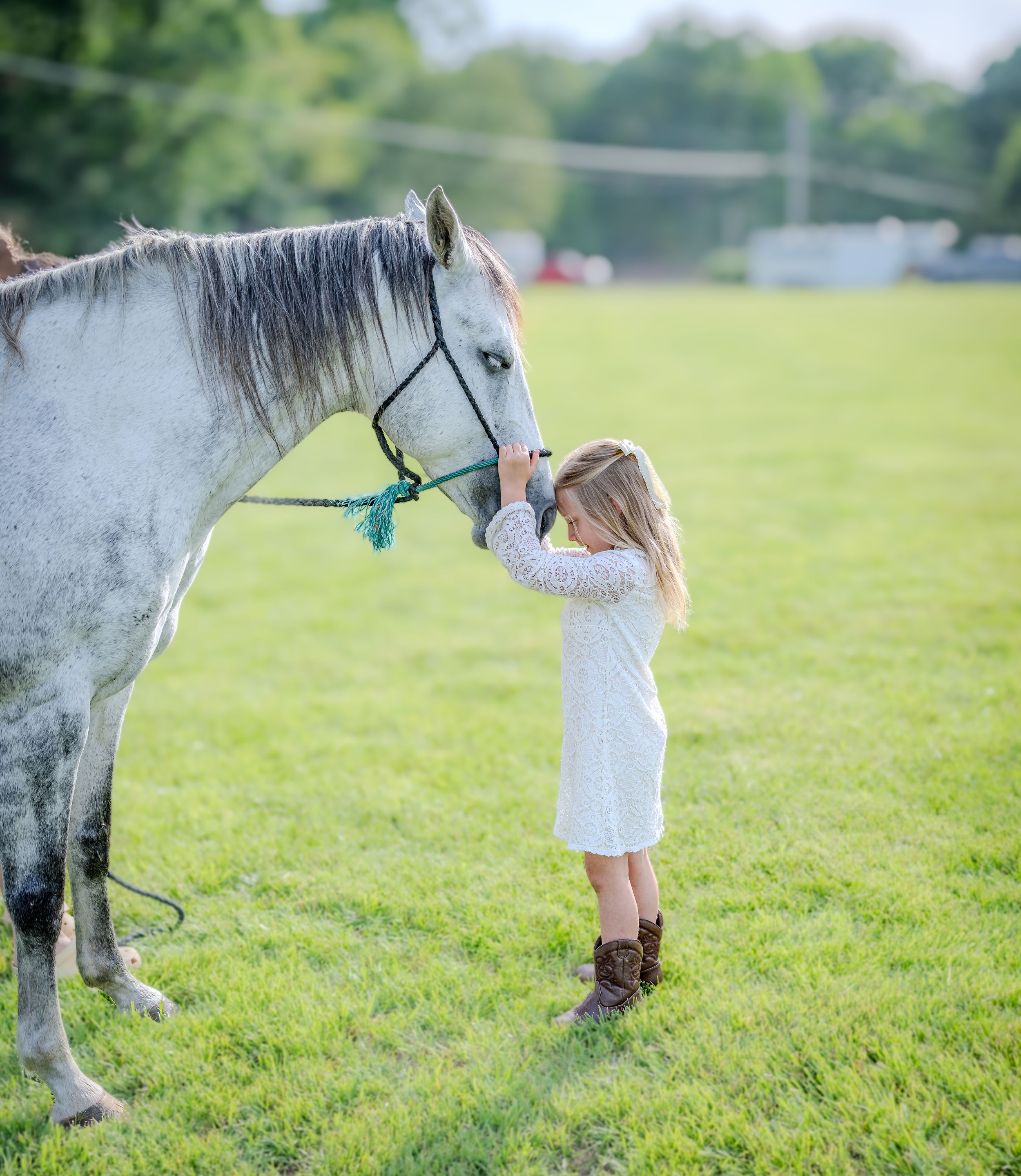 A young child in a white dress reaches up to pet a gentle gray horse in a sunny green pasture.